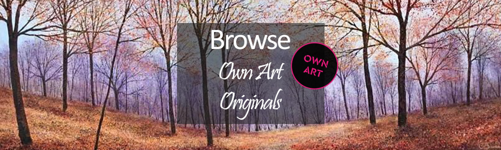 Own Art Original paintings and drawings - 10 Months Interest Free