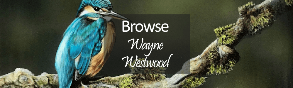 Wayne Westwood Art - Original wildlife paintings - Kingfisher on mossy branch
